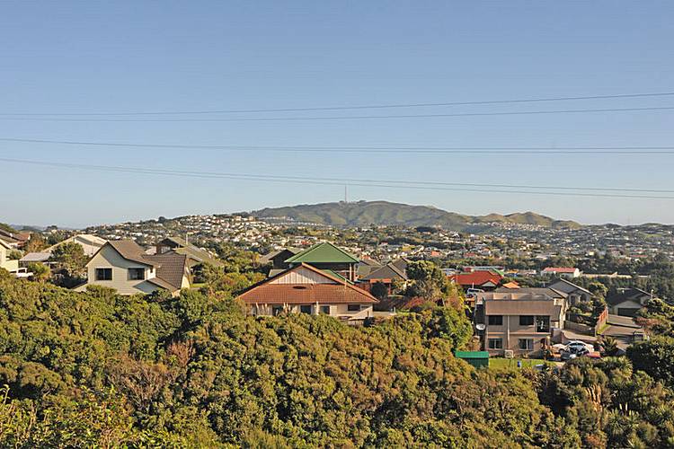 32 Cedarwood Street, Woodridge, Wellington - Carousel 20