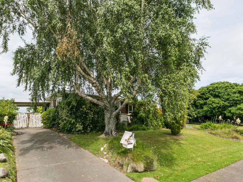 26 Guildford Street, Tamatea, Napier - Carousel 16