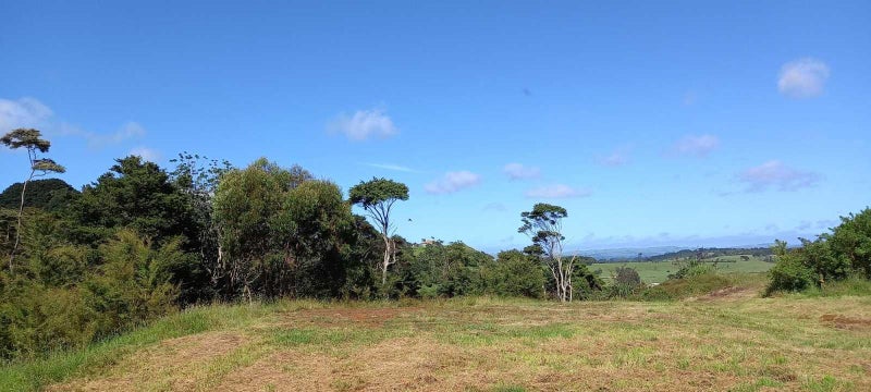 91A Bald Hill Road, Pukekohe - Carousel 2