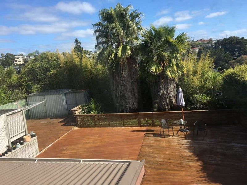 23 Mountbatten Avenue, Hillcrest, Auckland - Carousel 1