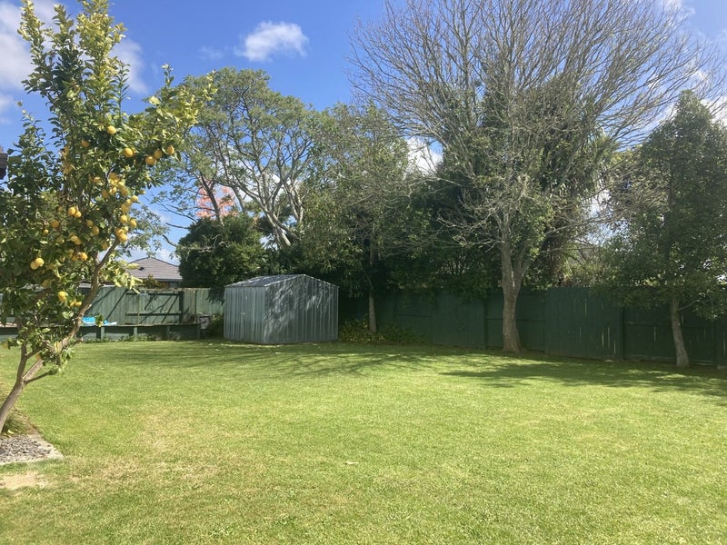 5 Ernest Road, Fairview Downs, Hamilton - Carousel 12