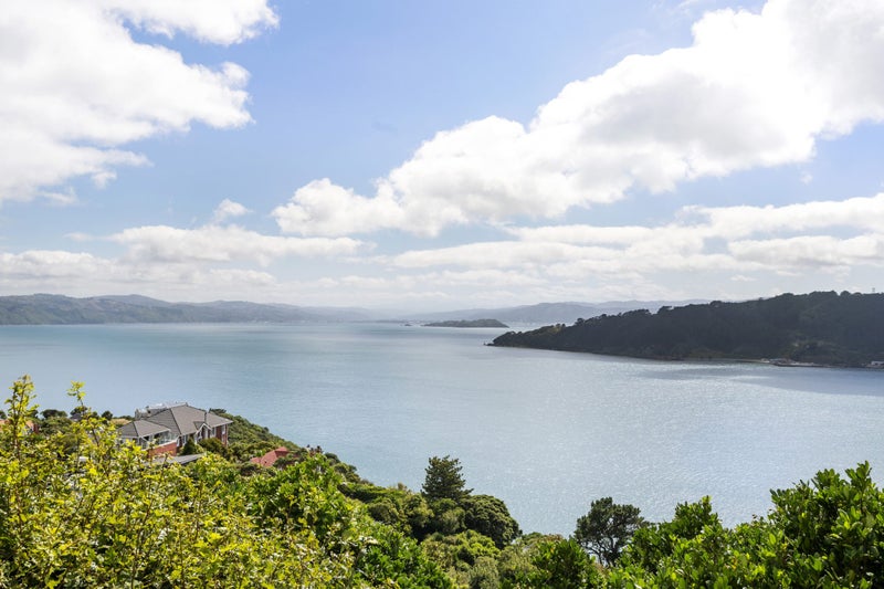 21 Waipapa Terrace, Hataitai, Wellington - Carousel 1