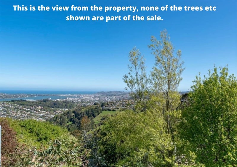 16 Dalrymple Street, Pine Hill, Dunedin - Carousel 2