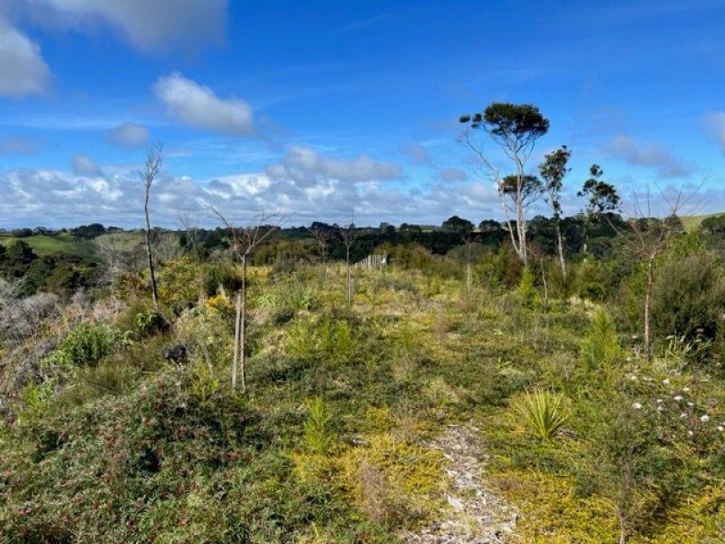 0 Awhitu Central Road, Awhitu, Waiuku - Carousel 1