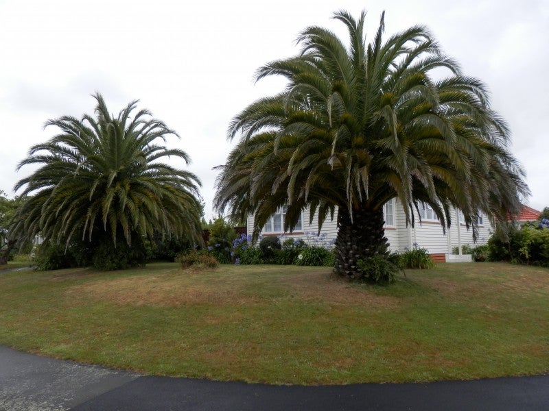100 Clyde Crescent, Roslyn, Palmerston North - Carousel 10