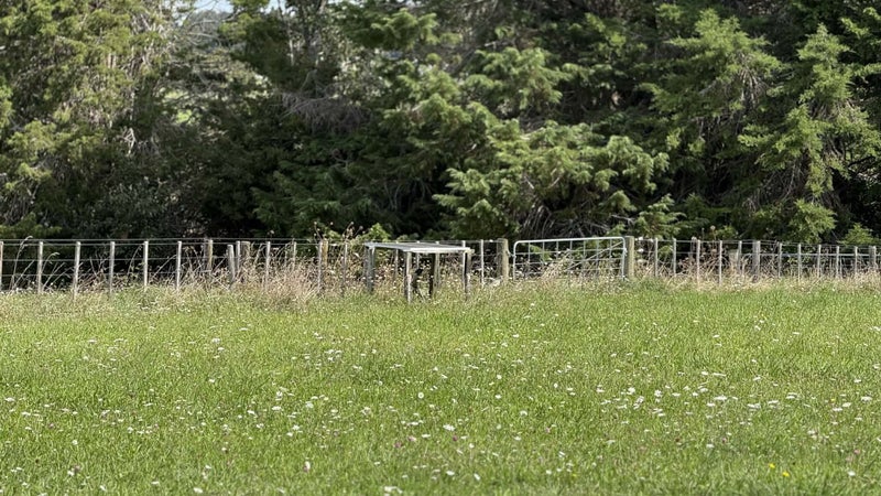 33 Signal Road, Okaihau, Okaihau - Carousel 14