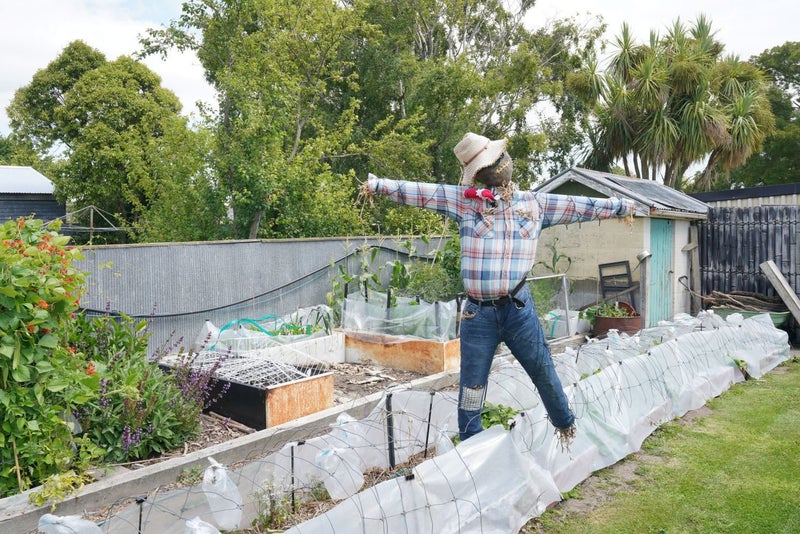 171 Wainoni Road, Avondale, Christchurch - Carousel 24