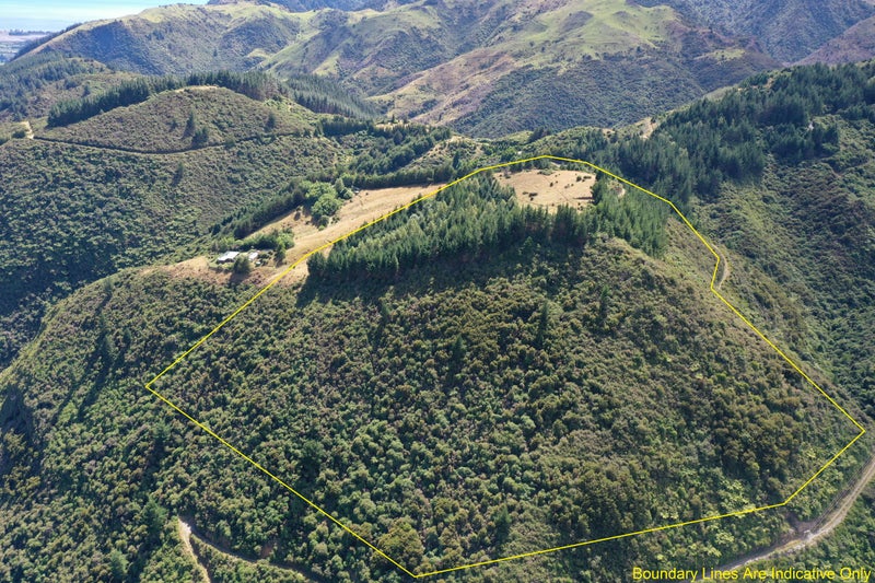 574 Rameka Creek road, Central Takaka, Takaka - Carousel 20