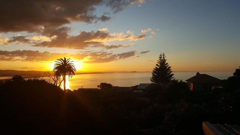 12 Williams Crescent, Te Puke - Carousel 25