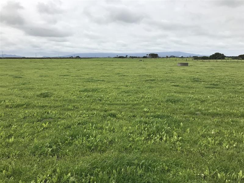 396 Cape Road, Opunake - Carousel 20