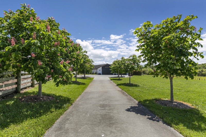 13 Oak Valley Road, Albany - Carousel 2