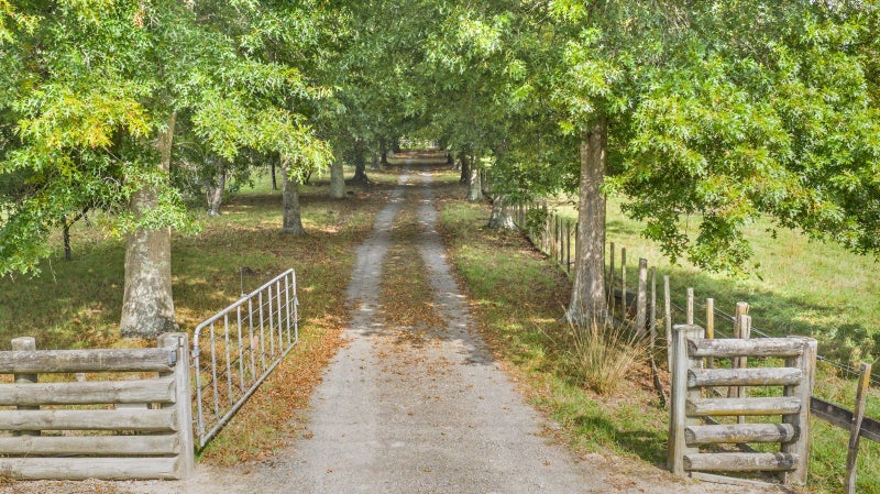 178 Potts Road, Koputaroa - Carousel 25