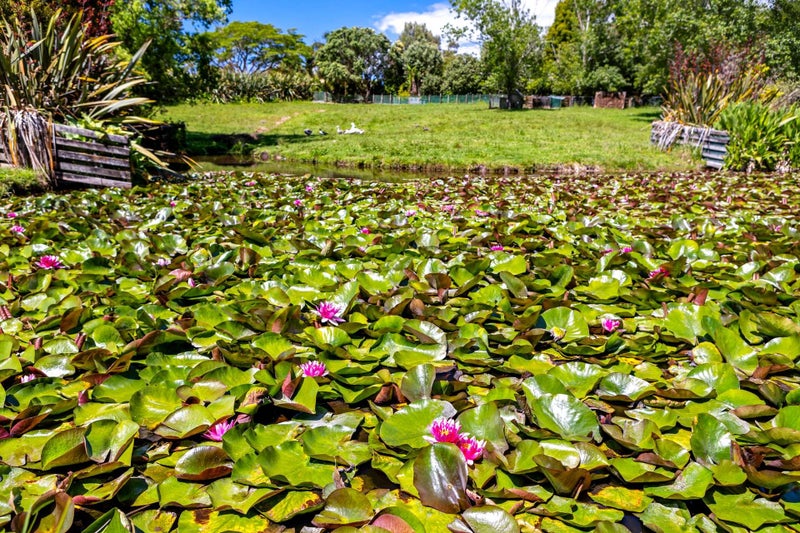 4144 State Highway 10, Kaitaia - Carousel 39