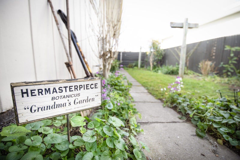 34A Clarence Cox Crescent, Pirimai, Napier - Carousel 16