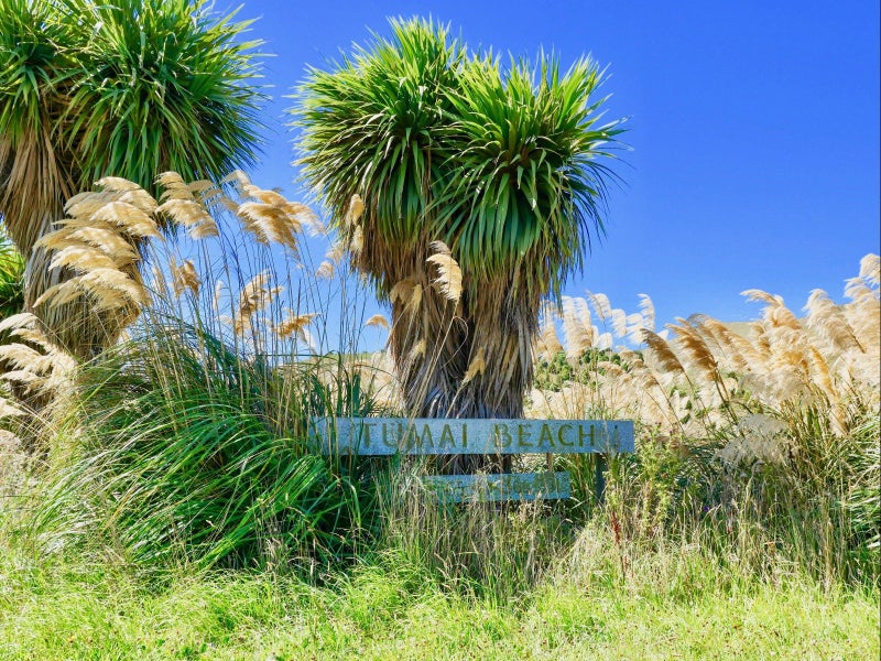 370 Thorburn Road, Waikouaiti, Waikouaiti - Carousel 11