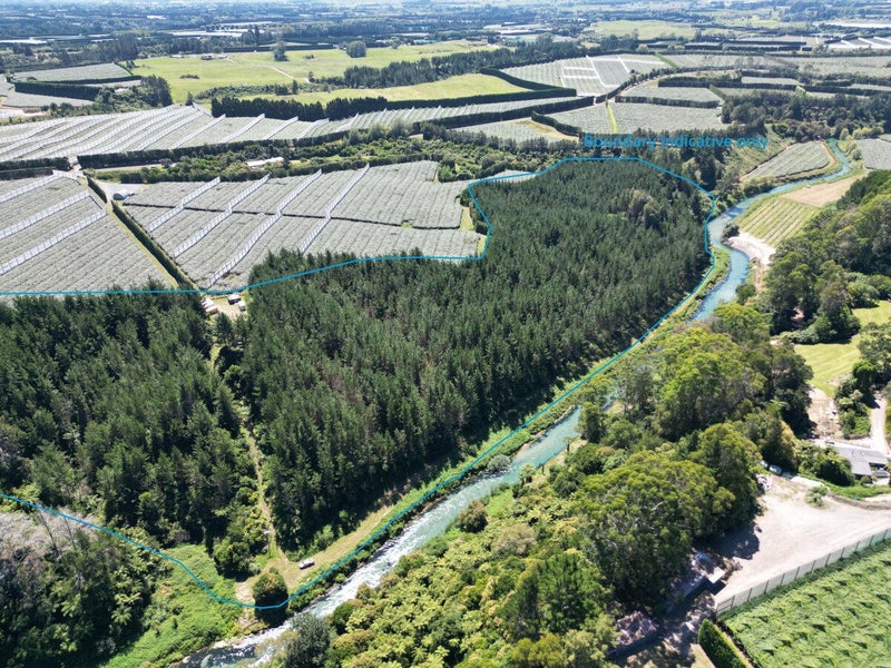 126B Casuarina Drive, Rangiuru - Carousel 2