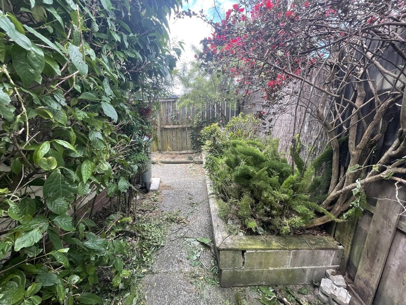 160A Ladies Mile, Ellerslie, Auckland - Carousel 12