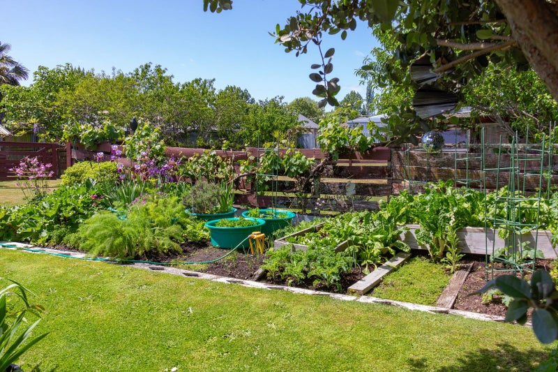 24 Wrigley Street, Masterton, Masterton - Carousel 17