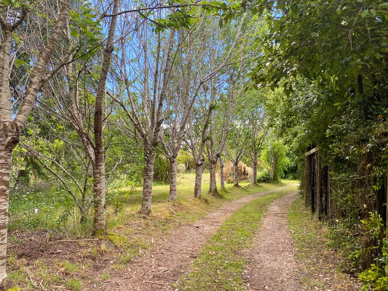 38 Rangihaeata Road, Rangihaeata - Carousel 13