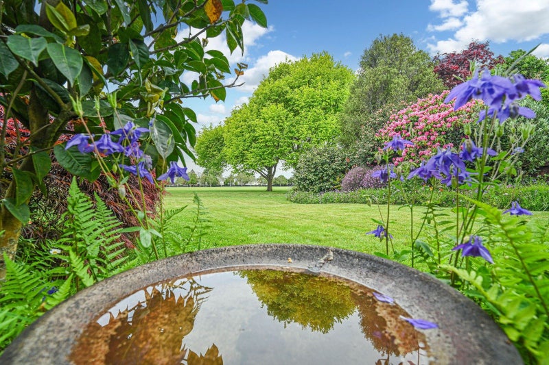 500 Hart Drive, Frimley, Hastings - Carousel 15