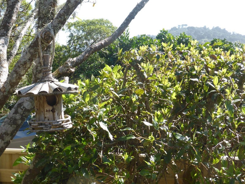 5E Harrold Street, Highbury, Wellington - Carousel 6