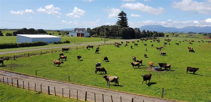396 Cape Road, Opunake - Carousel 1
