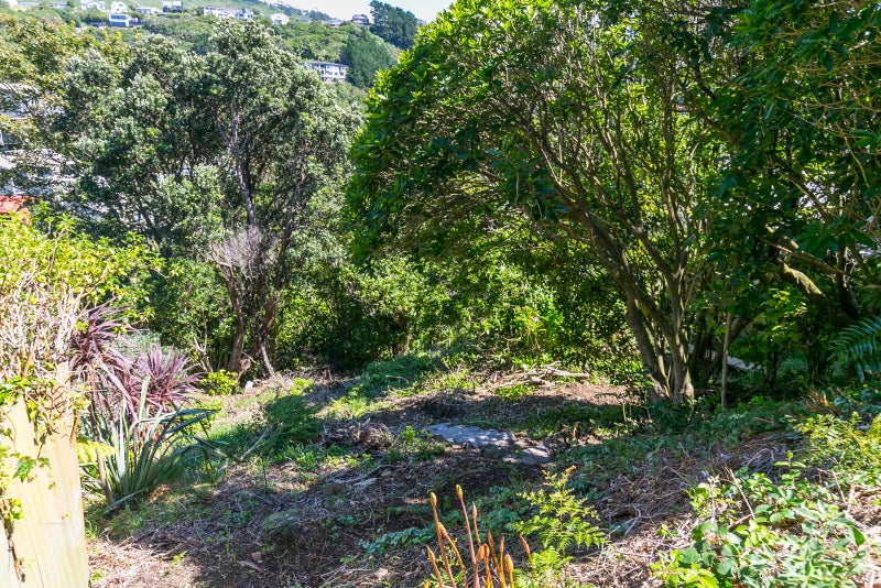 78 Mornington Road, Brooklyn, Wellington - Carousel 11