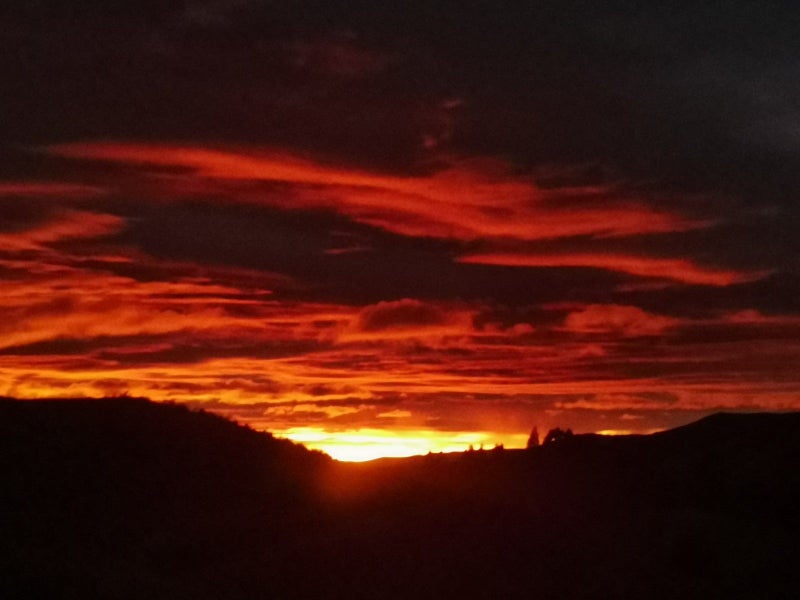 2 Olsen Place, Kinloch, Taupo - Carousel 31