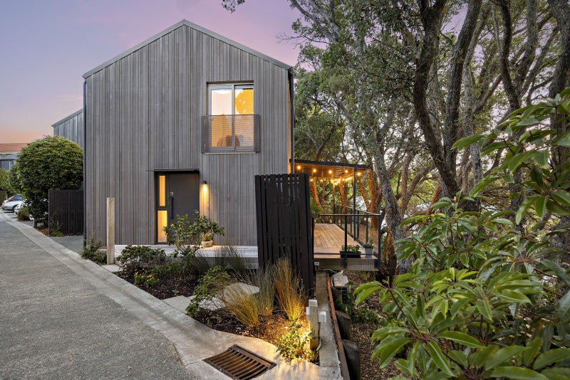 19 Foundries Lane, Freemans Bay, Auckland - Carousel 1