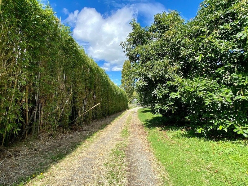 2A Oikimoke Road, Te Puna - Carousel 21