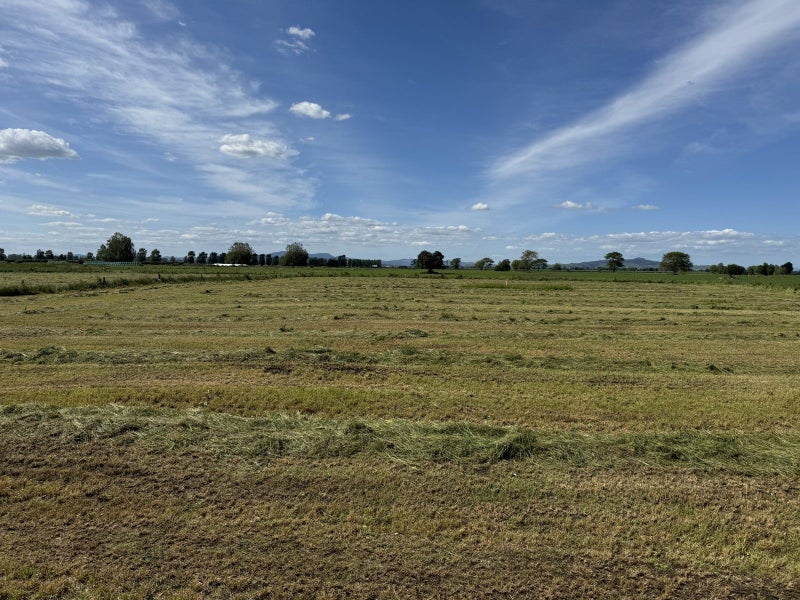 495A Piako Road, Gordonton, Hamilton - Carousel 2