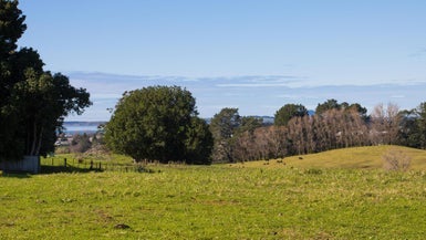 189 Henry Road, Katikati - Carousel 1