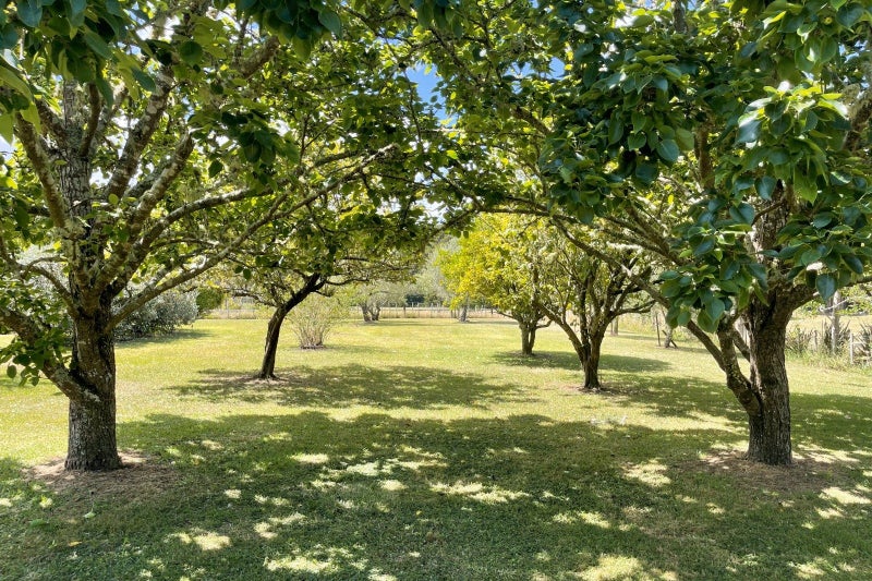 561 Whangaripo Valley Road, Whangaripo, Wellsford - Carousel 22