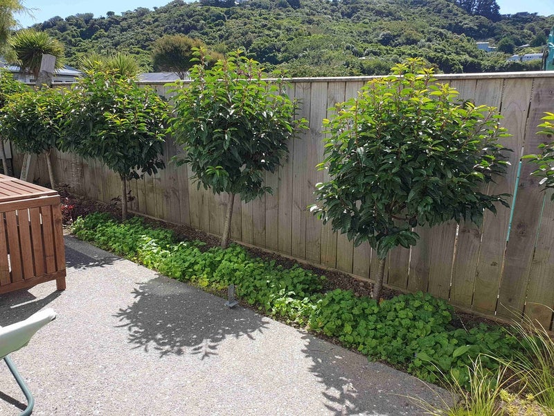 7B Chamberlain Road, Karori, Wellington - Carousel 20