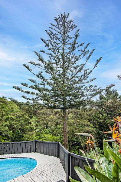 61A Russell Road, Kensington, Whangarei - Carousel 30