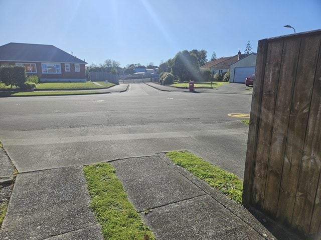 42 Frederick Street, Terrace End, Palmerston North - Carousel 21