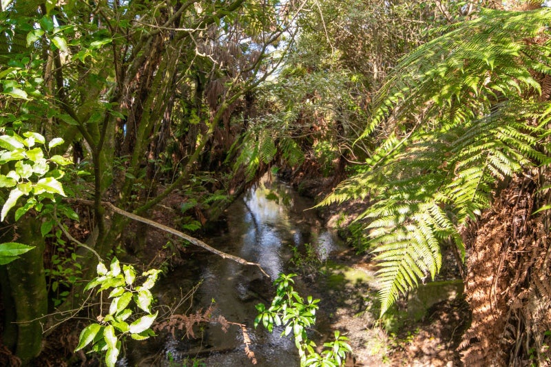 3 Amokura Street, Fairy Springs, Rotorua - Carousel 28