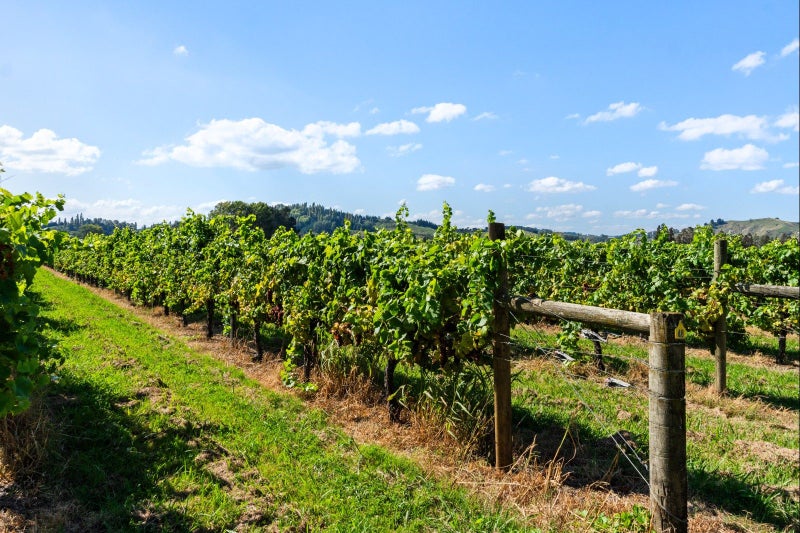 35 Bond Street, Grey Lynn, Auckland - Carousel 27