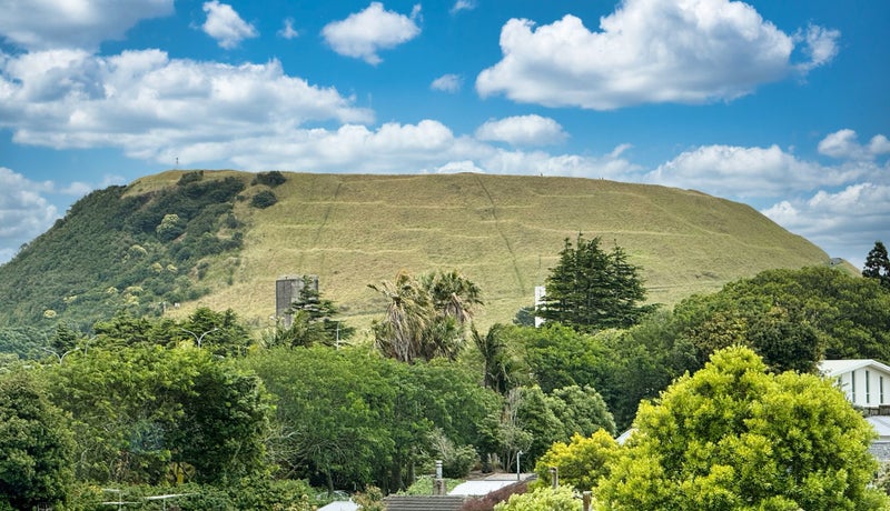 54 Te Koa Road, Panmure, Auckland - Carousel 19