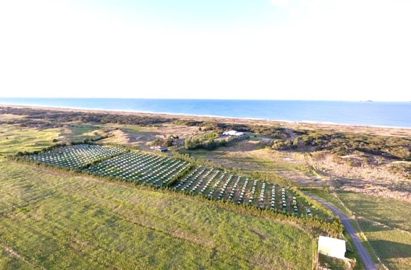 1030A Thornton Road, Matata, Whakatane - Carousel 2