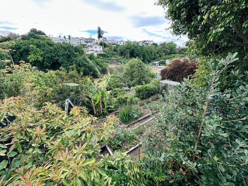 9 May Avenue, Hospital Hill, Napier - Carousel 25