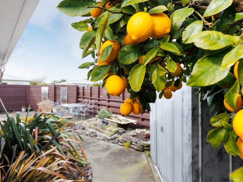 10 Botanical Road, Takaro, Palmerston North - Carousel 24