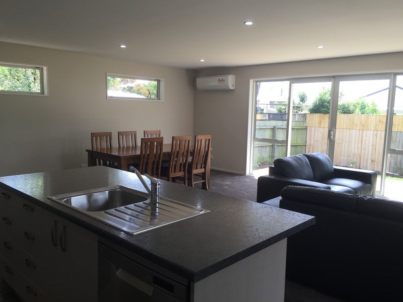 169A Aldwins Road, Phillipstown, Christchurch - Carousel 10