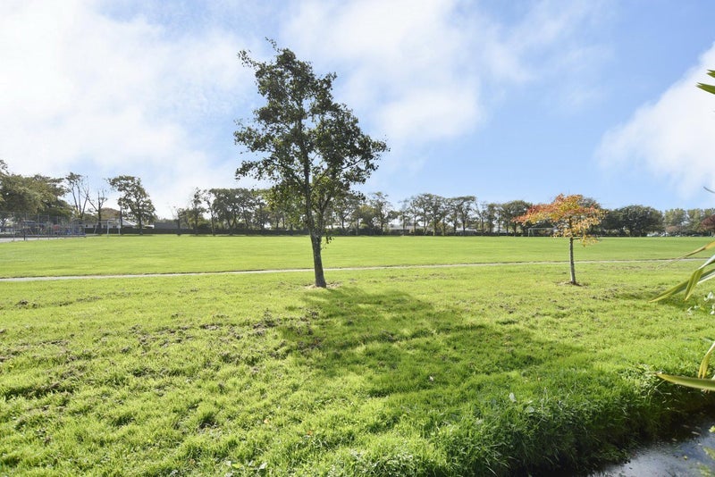 50 Brabourne Street, Hillsborough, Christchurch - Carousel 33