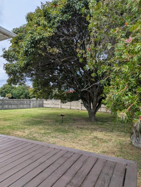 4 Johnston Crescent, Hillcrest, Rotorua - Carousel 20