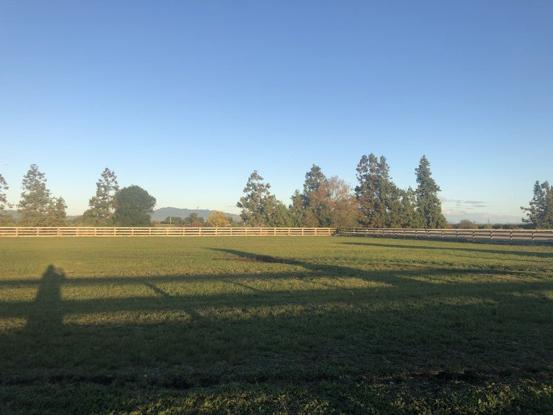 4/607 Jary Road, Cambridge - Carousel 2