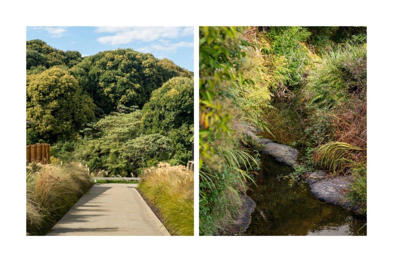 181 Adler Drive, Ohauiti, Tauranga - Carousel 16