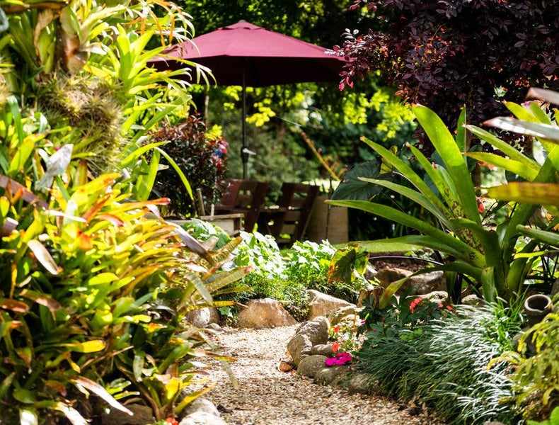 114 Victoria Street, Thames - Carousel 2