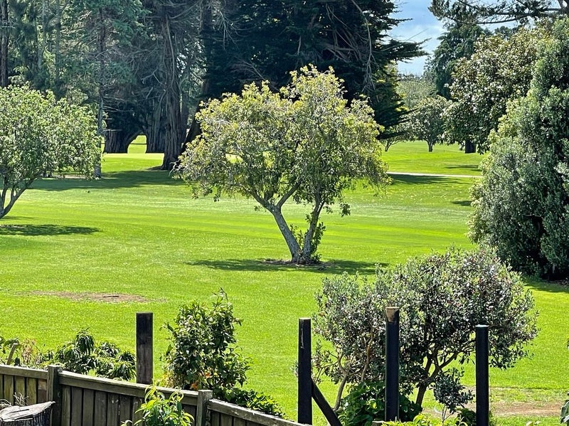 24 Seneca Court, Golflands, Auckland - Carousel 20