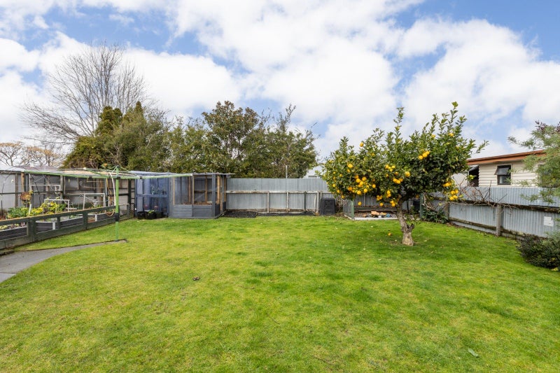 24 Clark Avenue, Pirimai, Napier - Carousel 16